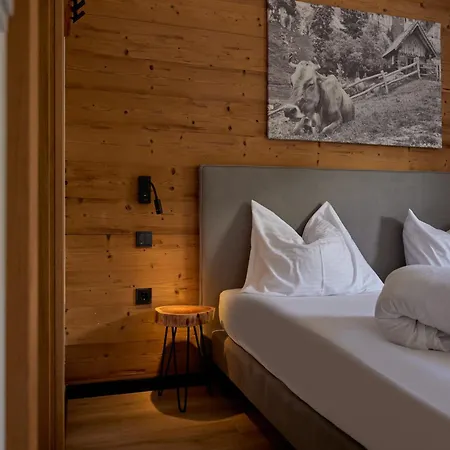 Alpin-resort Montafon 