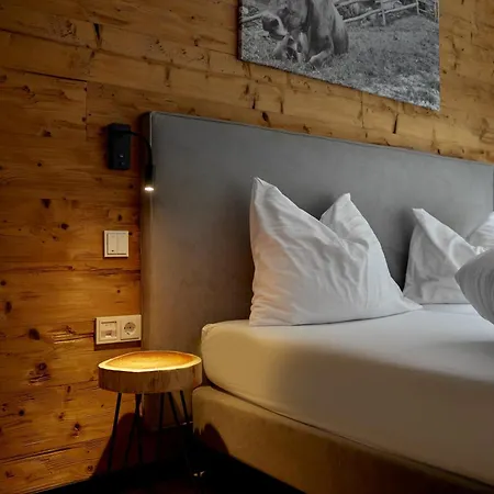 Alpin-resort Montafon 